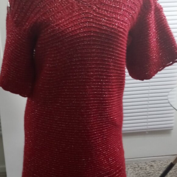 ADULT SKIRT SUIT (LGE) - Picture 2 of 4